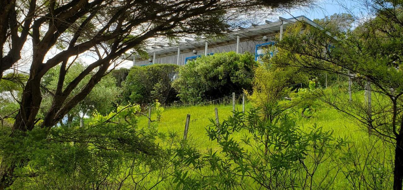Rawhiti Cottage At Kaeppeli'S Kuaotunu المظهر الخارجي الصورة